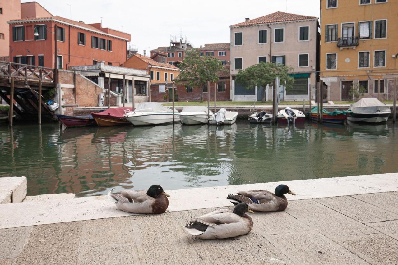 Santa Marta By Halldis * Venecia